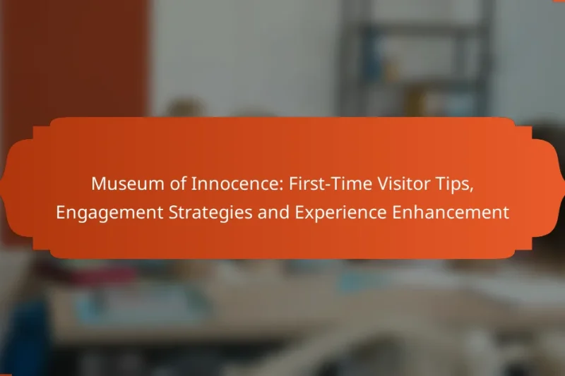 Museum of Innocence: First-Time Visitor Tips, Engagement Strategies and Experience Enhancement