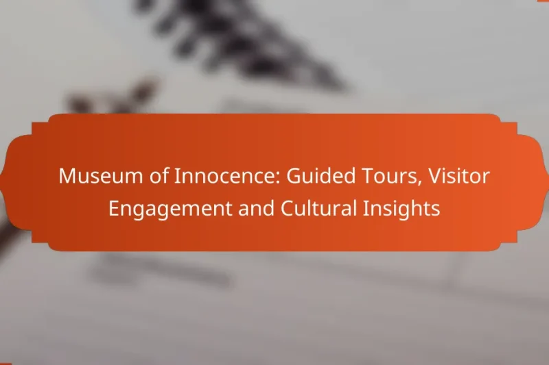 Museum of Innocence: Guided Tours, Visitor Engagement and Cultural Insights