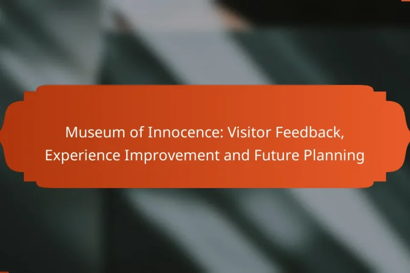 Museum of Innocence: Visitor Feedback, Experience Improvement and Future Planning