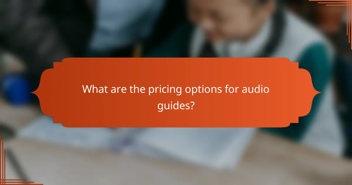 What are the pricing options for audio guides?